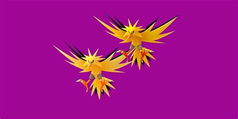 Zapdos Fury! A Shocking Dive into Competitive Bird Battles